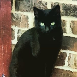 Meet your Posher, Carole